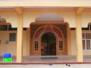 OLYMPUS DIGITAL CAMERA