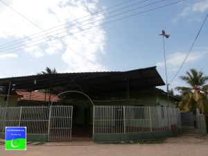 OLYMPUS DIGITAL CAMERA