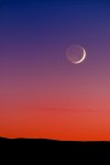 crescent moon[1]