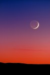 crescent moon[1]
