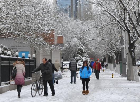 000cf1bdc9db12099ce140[1]