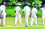 280_181_School-cricket[1]