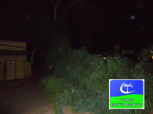 kattankudy (3)