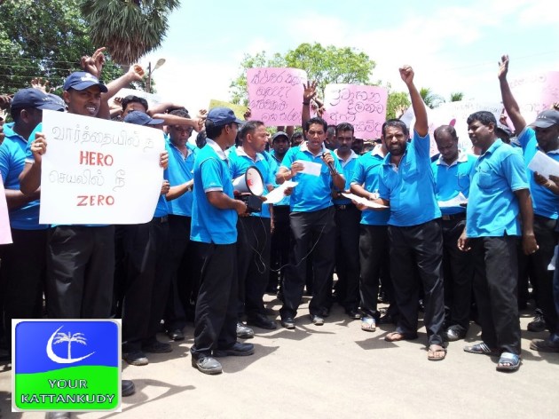 229605_142704595915794_538044721_n