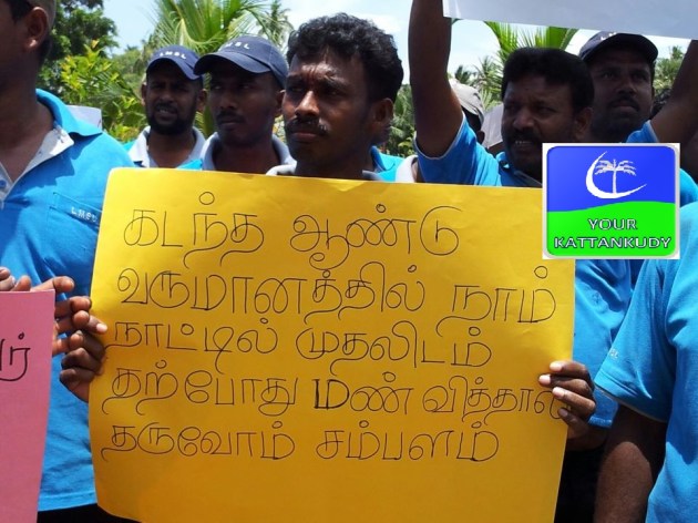 397784_142705989248988_1958547546_n