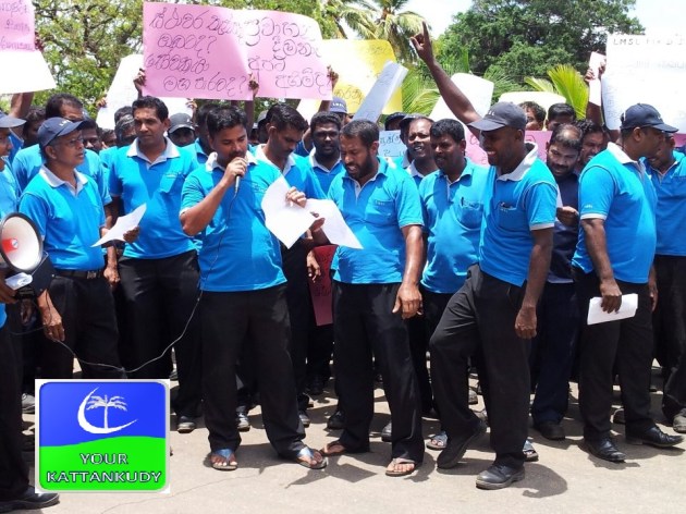 947272_142750579244529_603539213_n