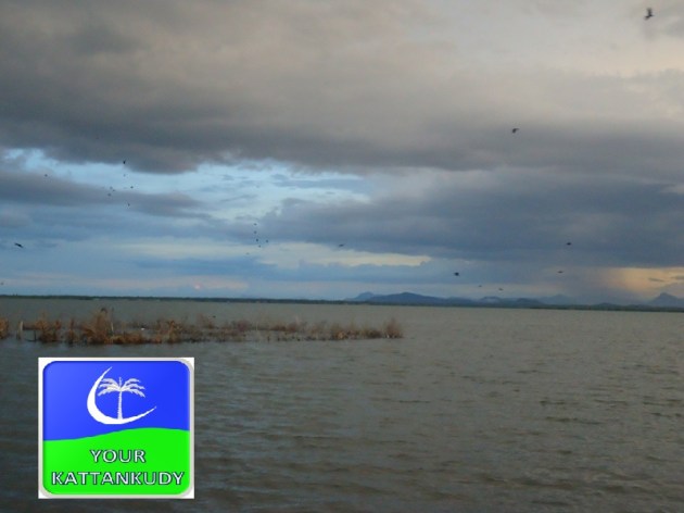 ???????????????????????????????