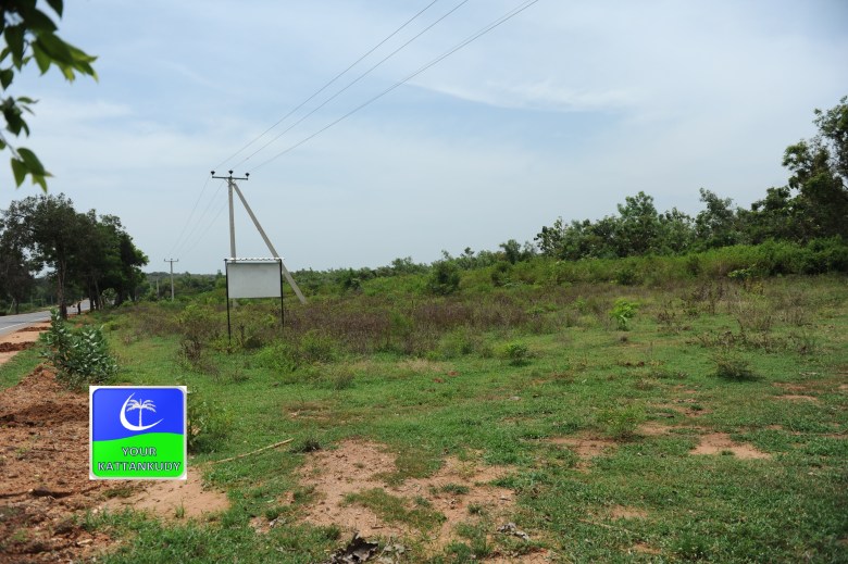 mannar