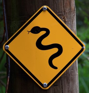 snake