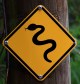 snake