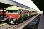 train