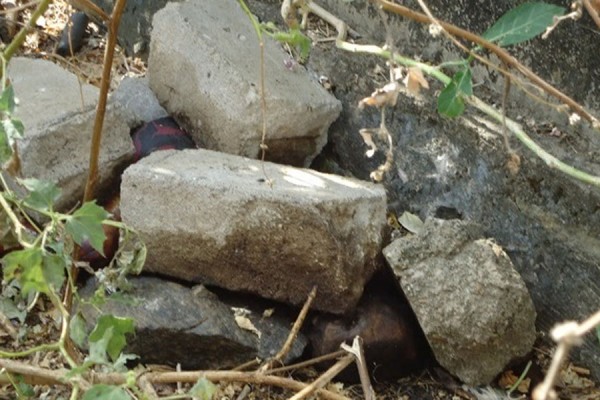011-600x400[1]