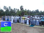 DSC07372[1]