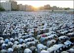 Eid-Prayer[1]