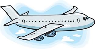 flight