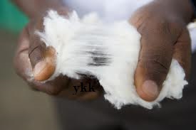 cotton