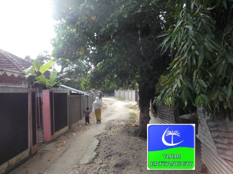 eravur (4)