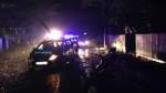 east-sussex-police-tree-police-car-1-522x293[1]