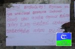 IMG_1122[1]