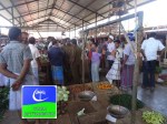 market