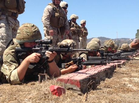 M16-assault-rifle[1]