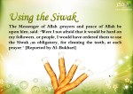 miswak_v
