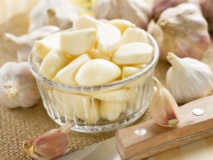 garlic