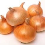 onion