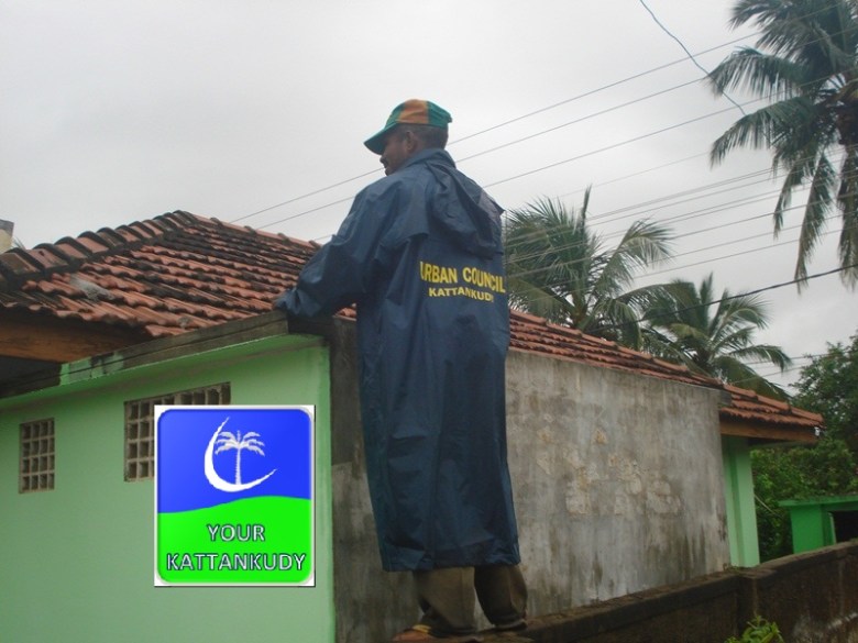 dengu