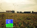 ground4