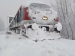 snow1