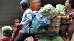 140205103843_cambodiamotorbikes_304x171_afp_nocredit