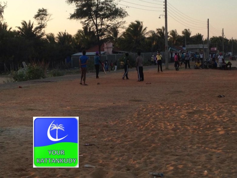 cricket1