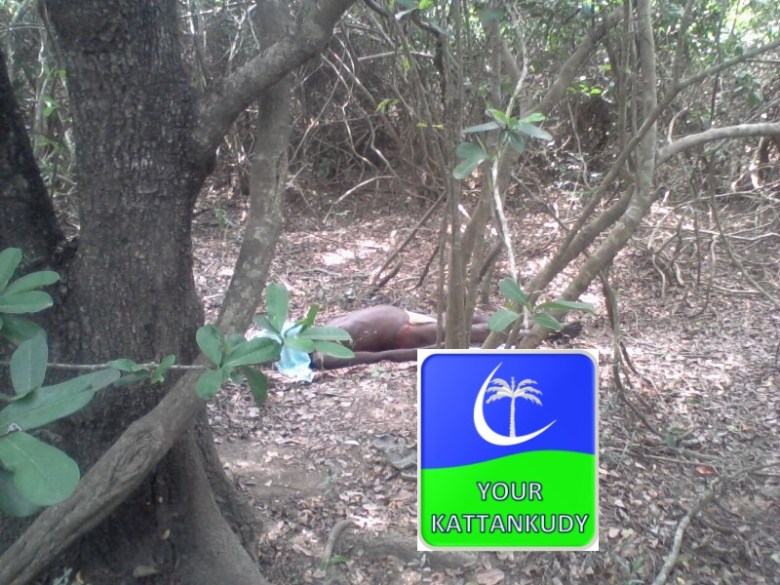 Photo-0372