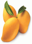 mango-a