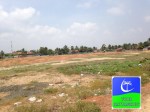 victory ground