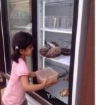 fridge