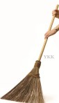 GardenBroom[1]