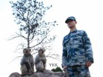 monkey