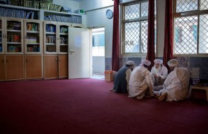 REDMOSQUE