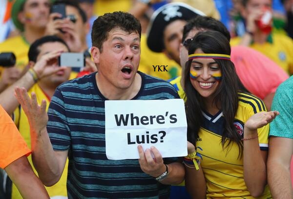 fans