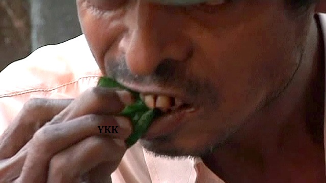 Man in Burma chews betel nuts