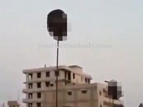 isis (2)