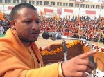 bjp india