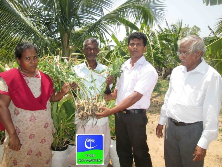 vaharai