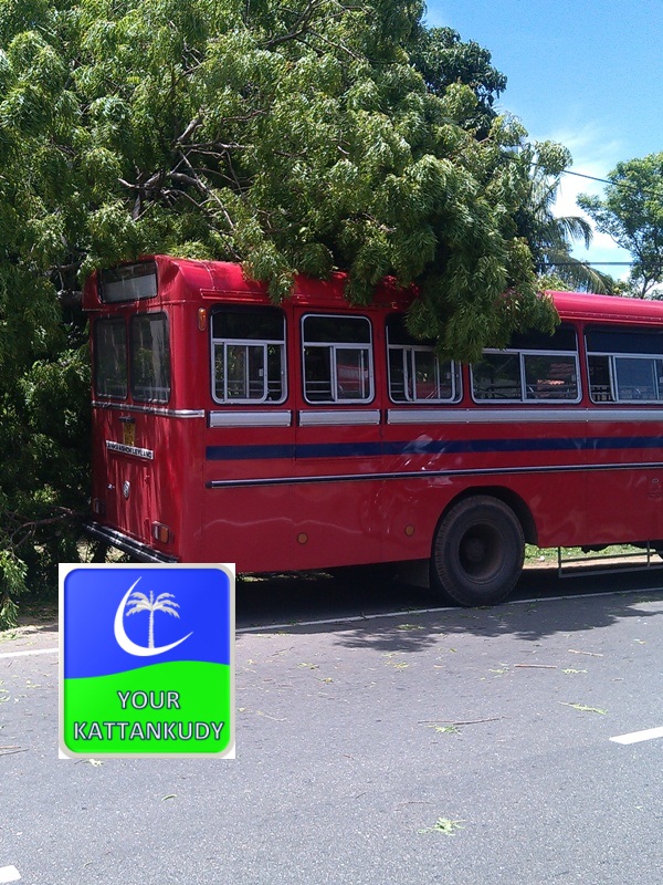 bus accident (2)