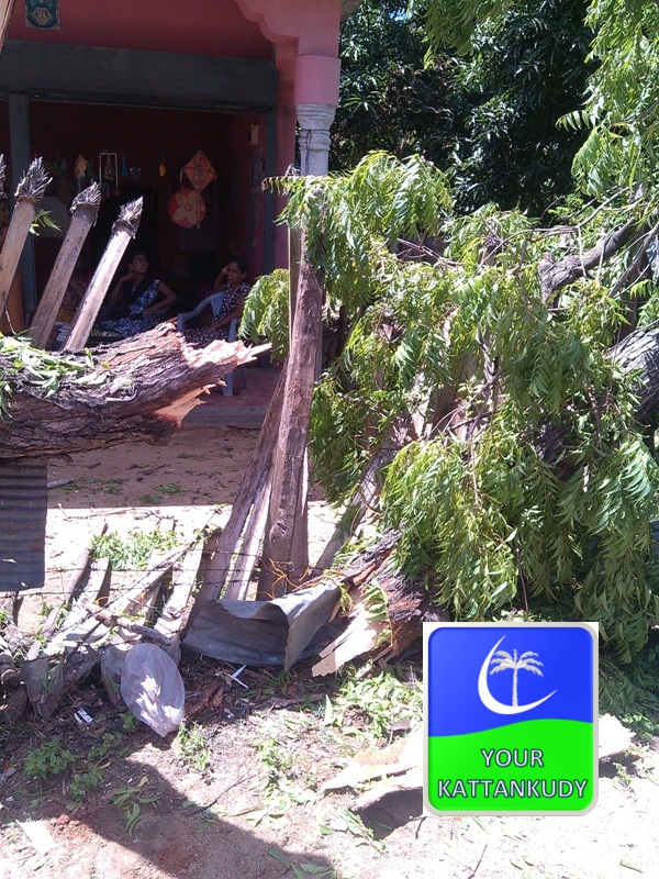 bus accident (3)