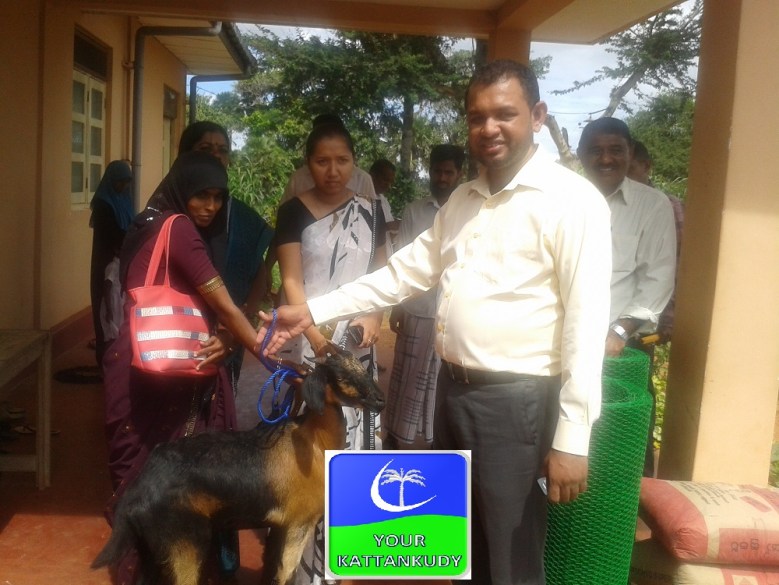 asmin2014-11-20 11.12.40