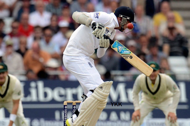 cricket (2)