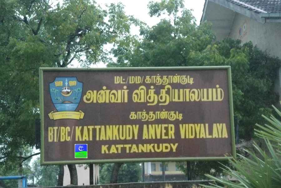 DSC00001